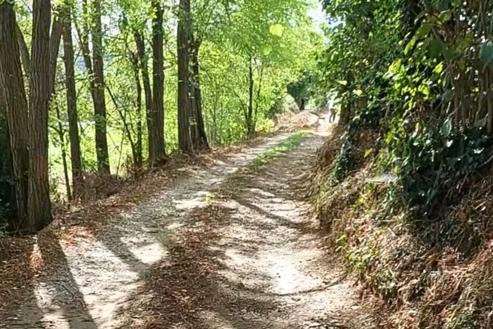 Toskanische Landschaft bei Figline Valdarno auf dem Weg zwischen Florenz und Chianti