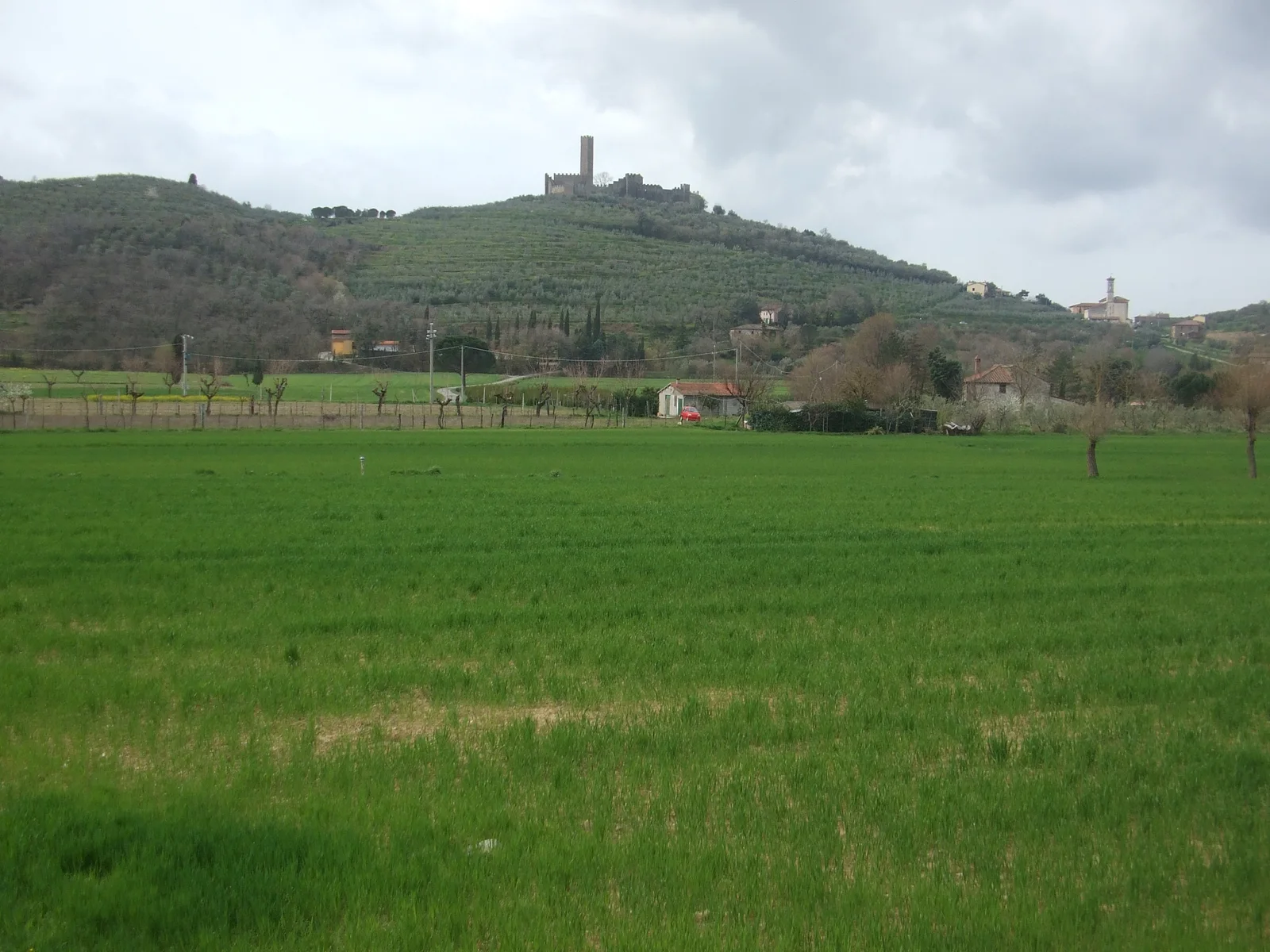 Castello di Montecchio Vesponi sul colle tra uliveti e campi, visto dal Bigurro