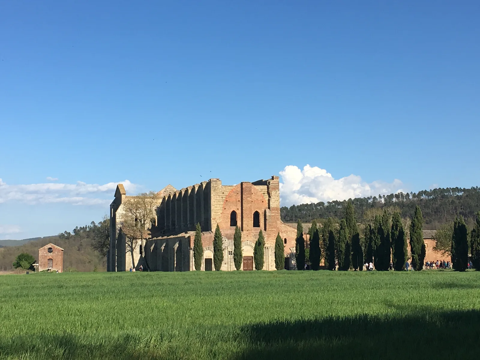 Abbazia di San Galgano senza tetto nella campagna di Chiusdino